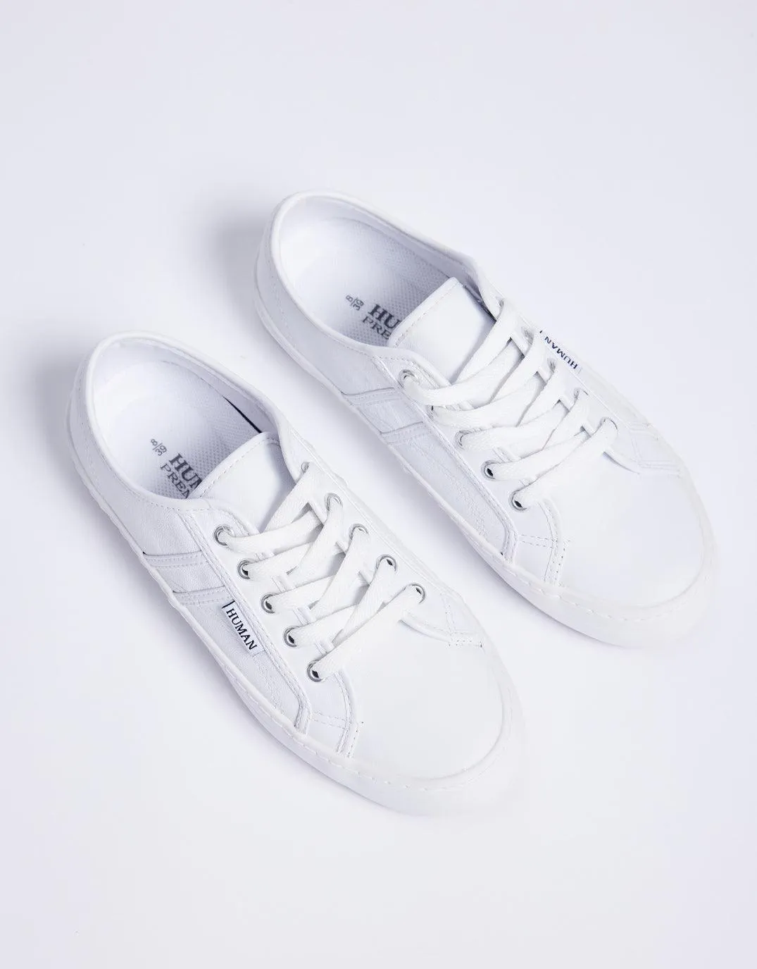 Cass Leather Sneakers - White