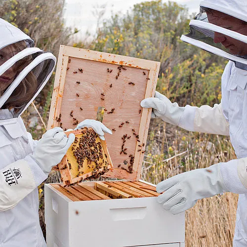 Medium Backyard Beekeeping Kit with Accessories