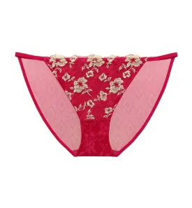 Shuting Qiu Collaboration Tanga