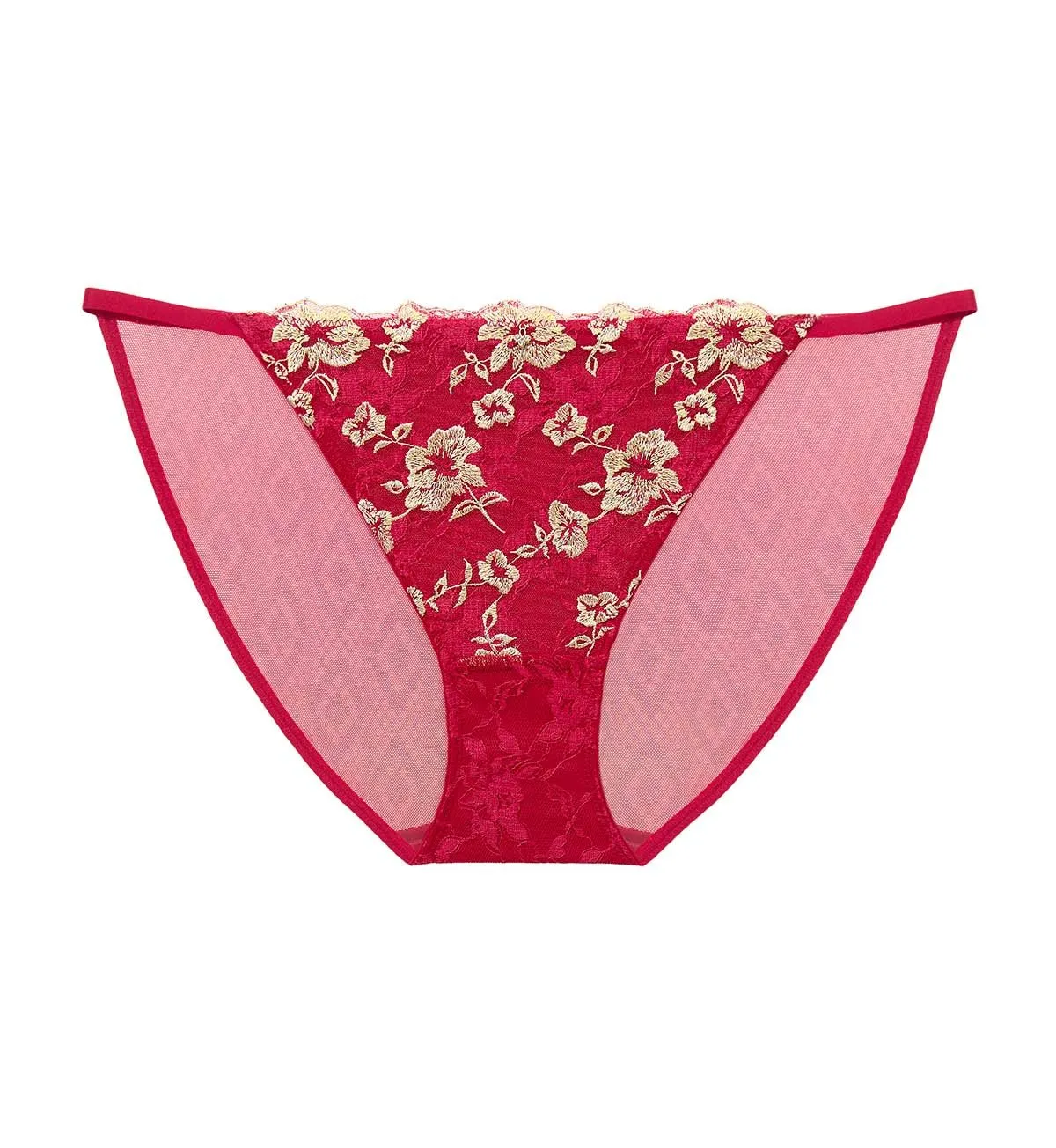 Shuting Qiu Collaboration Tanga