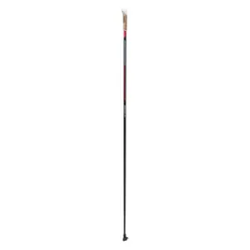 Swix Quantum One Pole with straps (2021/22)